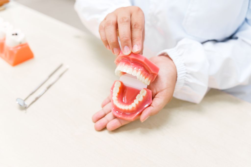 a dentist works at a desk with a tooth model demo