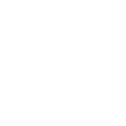 home icon silhouette